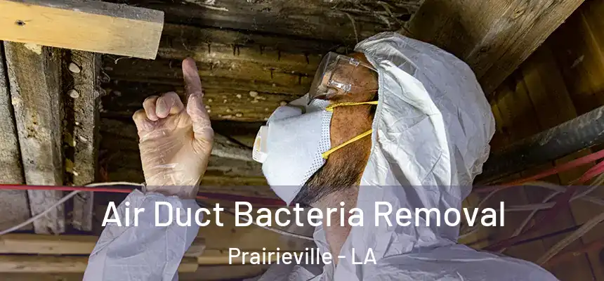  Air Duct Bacteria Removal Prairieville - LA