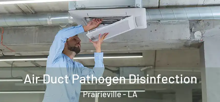  Air Duct Pathogen Disinfection Prairieville - LA
