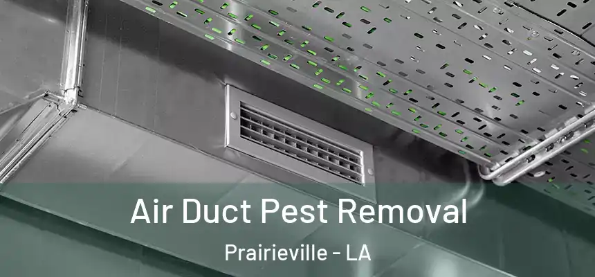  Air Duct Pest Removal Prairieville - LA