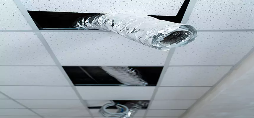 Affordable HVAC Sanitizing After Pest Removal in Prairieville