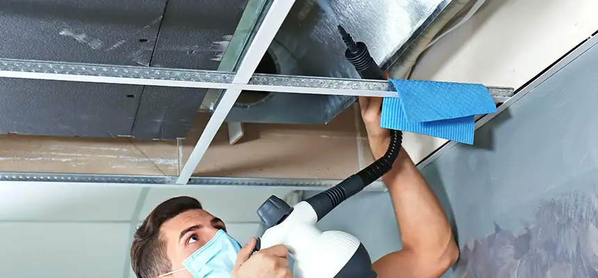 Our Air Duct Rodent Removal Services in Prairieville, LA