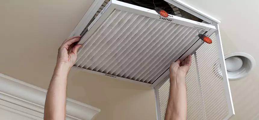 Our Insect Removal from Air Ducts Services in Prairieville, LA