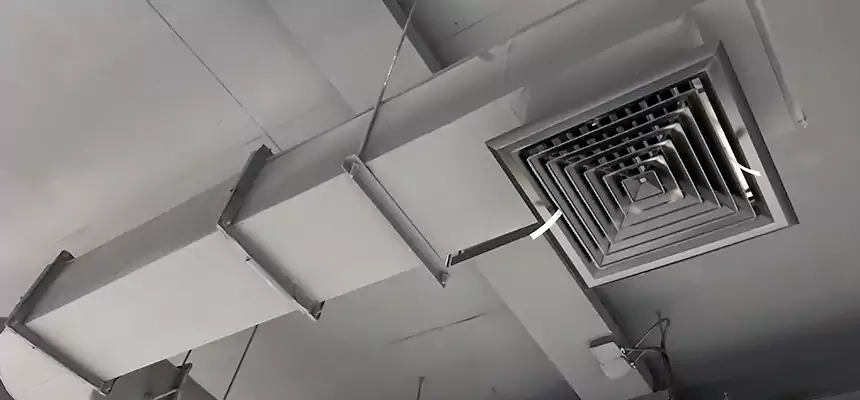 Our Pest Removal From Ducts Services in Prairieville, LA