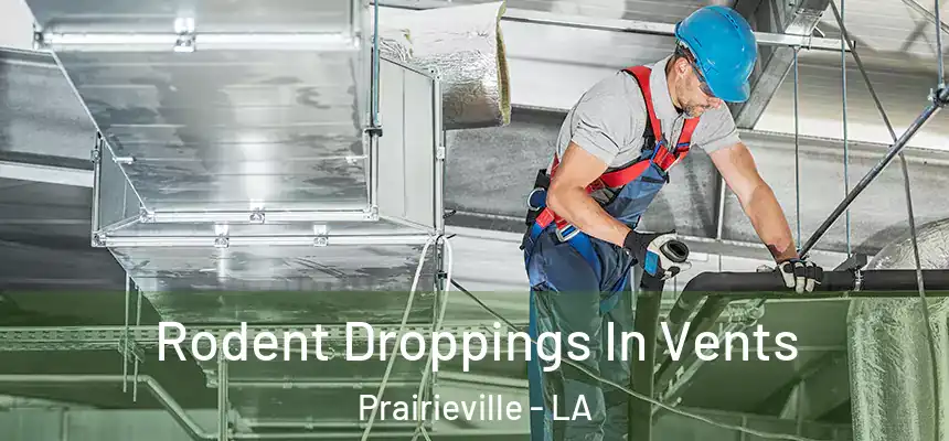  Rodent Droppings In Vents Prairieville - LA