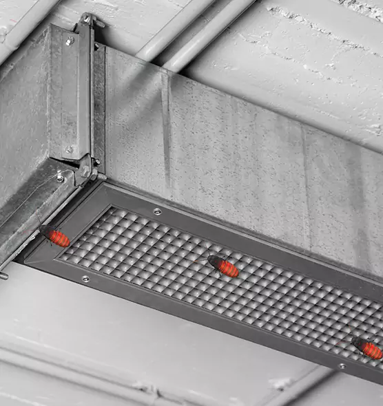 About Air Duct Cockroach Removal in Prairieville, LA