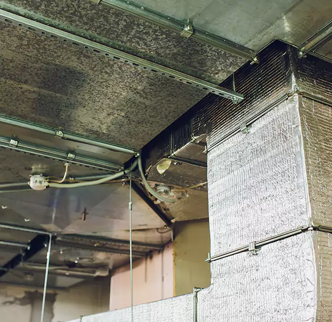 Why Homeowners & Businesses Trust Us in Prairieville, LA?